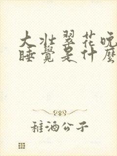 大壮翠花晚上不睡觉是什么电视剧