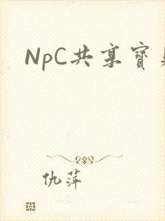 NpC共享宝贝