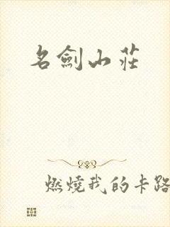 名剑山庄封面