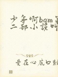 少年啊bgm第二部小说叫什么