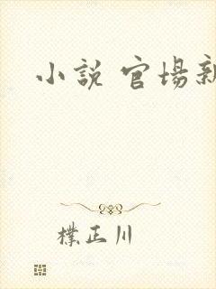 小说 官场新贵