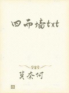 四面墙txt