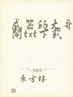 成器的大哥笔趣阁txt下载封面