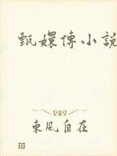 甄嬛传小说封面