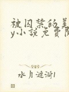 被囚禁的美人by小说免费阅读