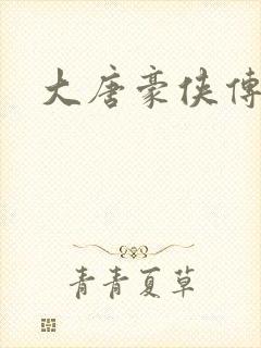 大唐豪侠传封面