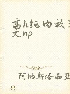 高h纯肉放荡h文np封面