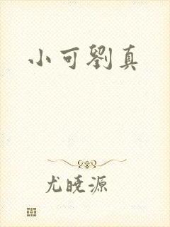小可刘真封面