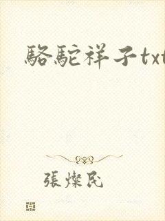 骆驼祥子txt