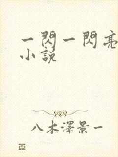一闪一闪亮星星小说