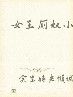 女王厕奴小说封面