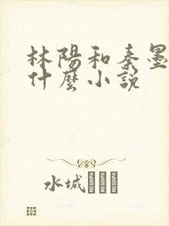 林阳和秦墨浓是什么小说封面