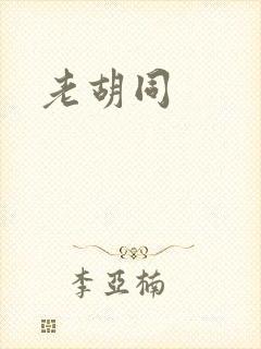 老胡同封面