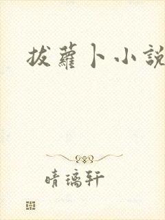 拔萝卜小说封面
