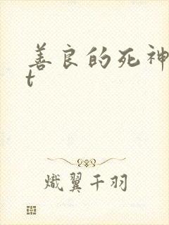 善良的死神txt