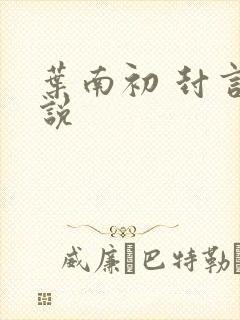 叶南初 封言小说
