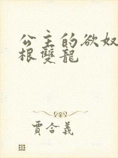 公主的欲奴h四根双龙