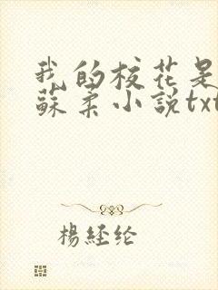 我的校花是福姬苏柔小说txt