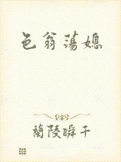 色翁荡媳封面