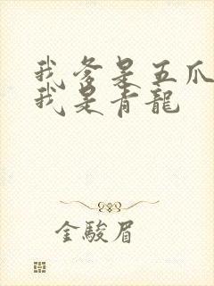 我爹是五爪金龙我是青龙封面