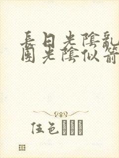 长日光阴乱作一团光阴似箭封面
