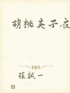 胡桃夹子夜未眠