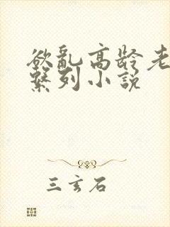 欲乱高龄老女人系列小说封面
