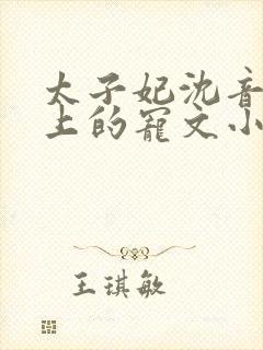 太子妃沈音和皇上的宠文小说