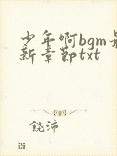 少年啊bgm最新章节txt