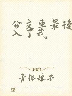 公交车最后一排入了我