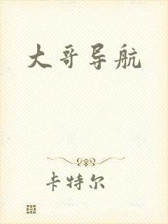 大哥导航