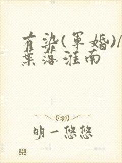 有染(军婚)/叶落淮南封面