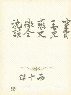 沈微燕王穿越小说全文免费阅读