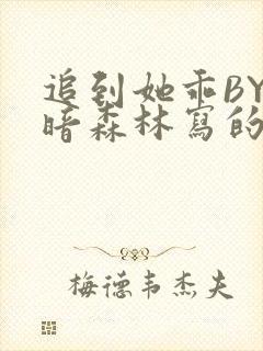 追到她乖BY黑暗森林写的小说