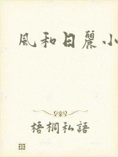 风和日丽小说