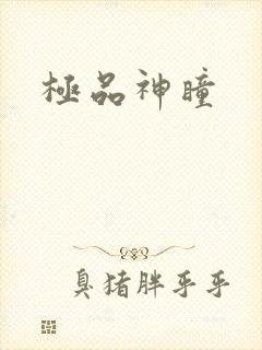 极品神瞳封面