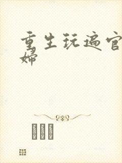 重生玩遍官场贵妇