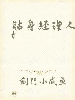 贴身经理人txt