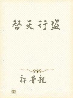 替天行盗