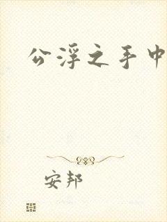 公浮之手中字5