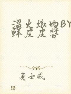 温火炖肉BY海鲜皮皮酱