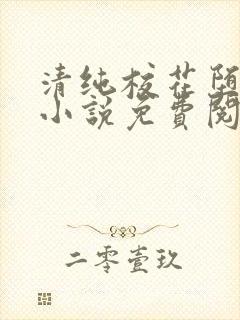 清纯校花堕落记小说免费阅读