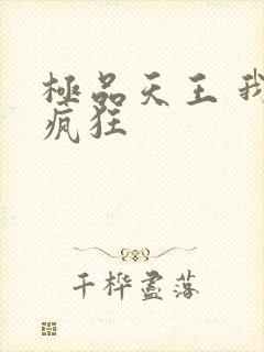 极品天王 我本疯狂