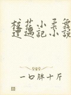 校花小柔舞蹈室遭遇记小说