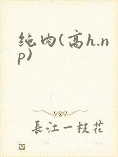 纯肉(高h.np)