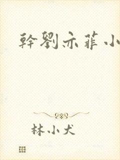 干刘亦菲小说