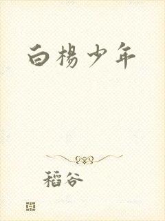 白杨少年