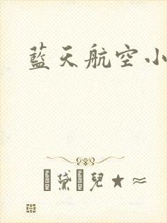 蓝天航空小说