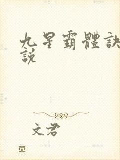 九星霸体诀 小说
