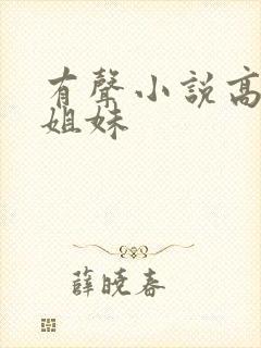 有声小说高树三姐妹封面